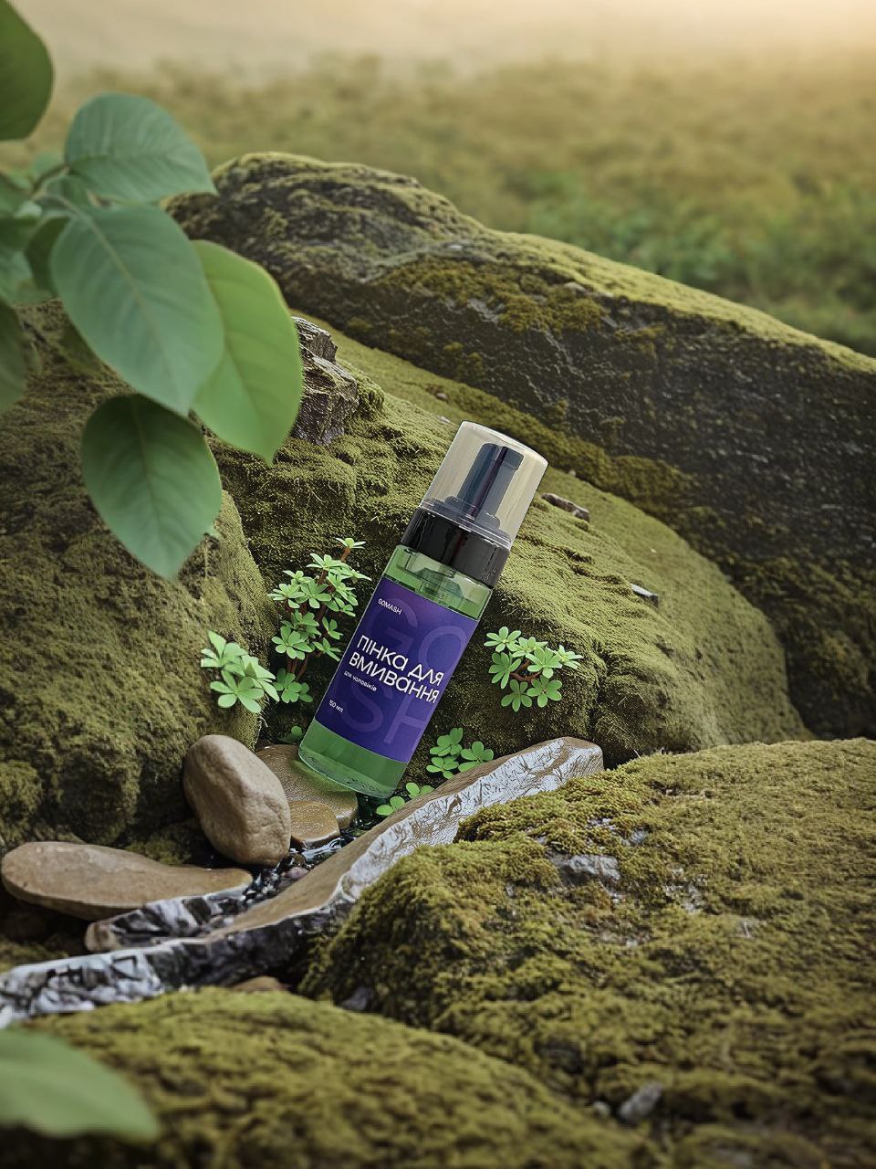 photo_2025-02-07_09-31-58 photo 2025 02 07 09 31 58