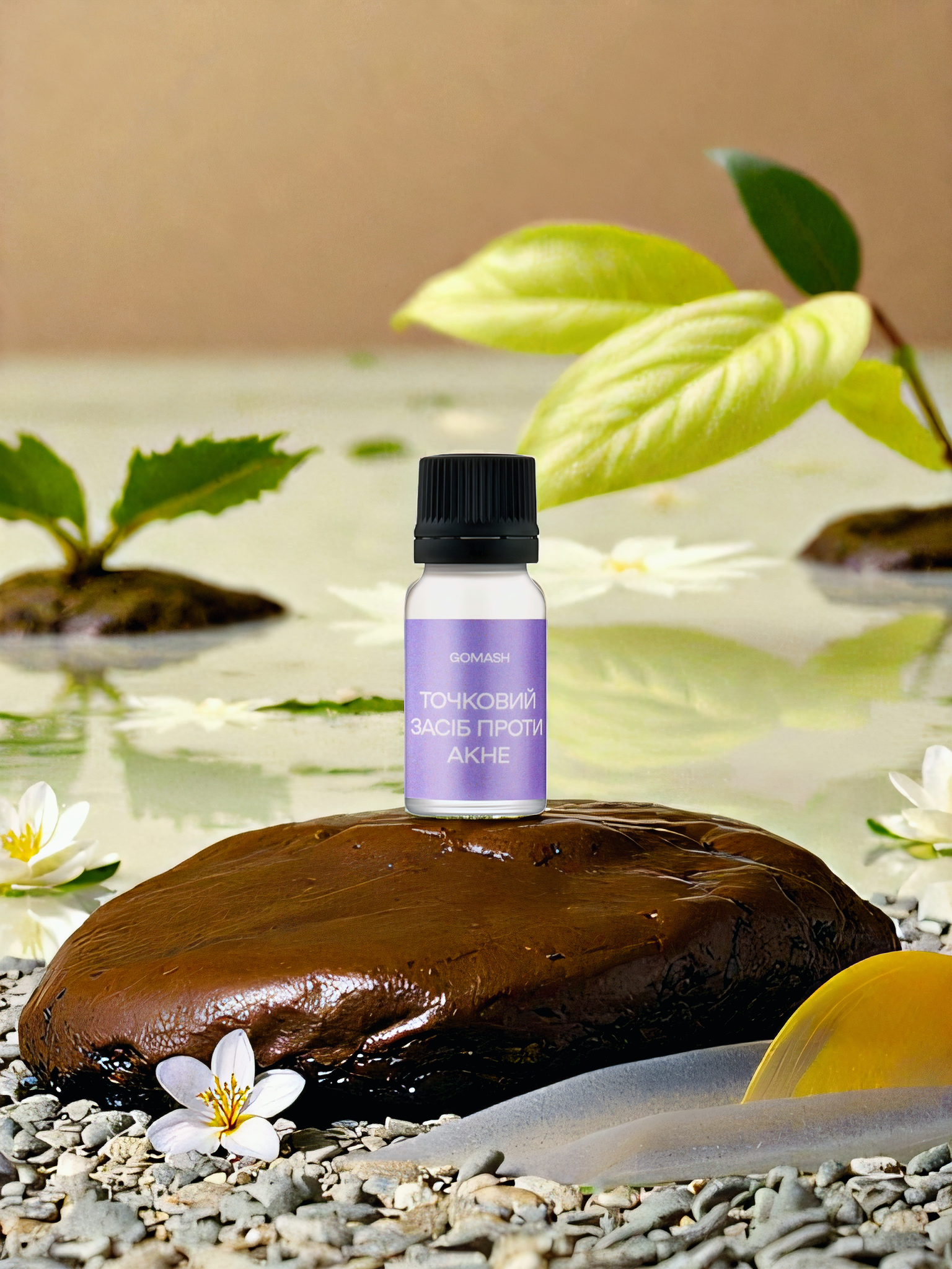 Task-26256564-2-1 task 26256564 2 1